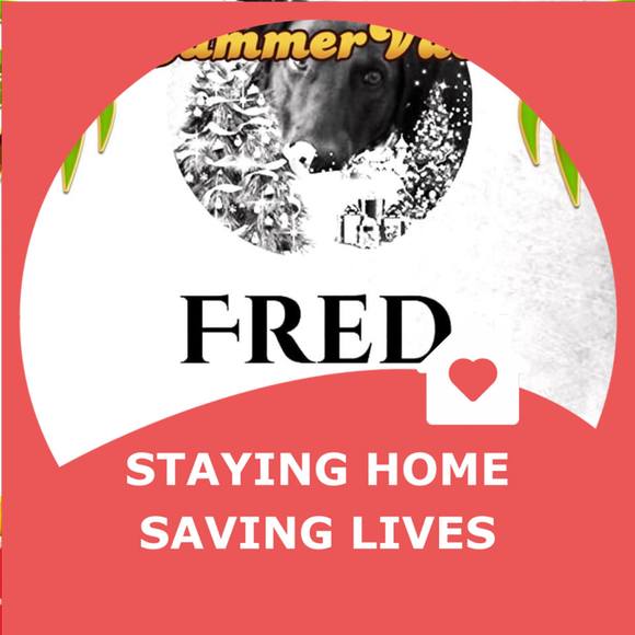 freddvs01